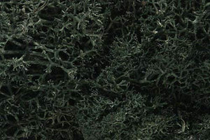 Lichen vert foncé Woodland Scenics WL164