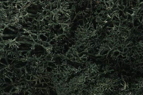 Lichen vert foncé Woodland Scenics WL164