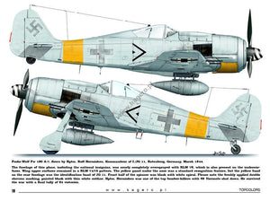 Kagero 15035 Fw 190s au-dessus de l&amp;#39;Europe, partie I (décalcomanies) EN/PL – Bild 4