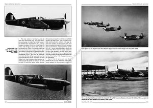 Kagero 3036 Curtiss P-40 vol. Je FR – immagine 2