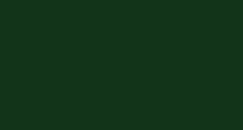 Lifecolor UA825 - Vert DMU Late 22ml