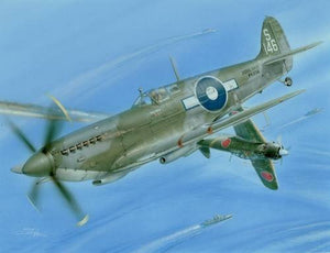 Special Hobby 48052 Supermarine Seafire Mk.III Derniers combats dans le Pacifique (1/48)