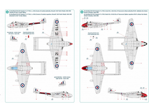 Infinity Models INF3203 DH-100 VAMPIRE F MK.3 1/32 – immagine 2