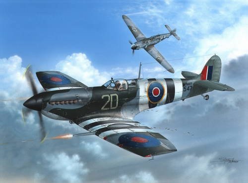 Special Hobby 48128 Supermarine Seafire Mk.III D-Day Fleet Eyes 1/48