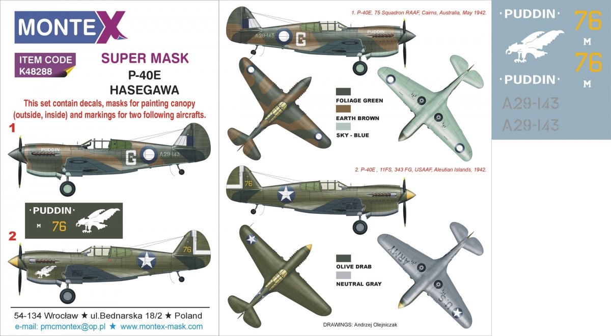 Montex K48288 P-40E 1/48 