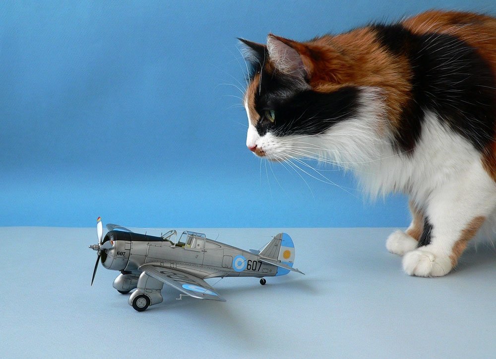 Hélice transparente ! Kit avancé CP4803 H-75O Hawk 1/48 – image 18