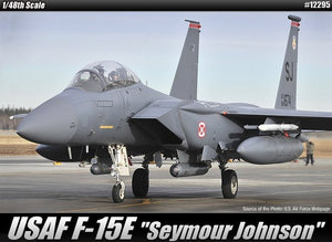 Academy 12295 USAF F-15E Seymour Johnson (1/48)