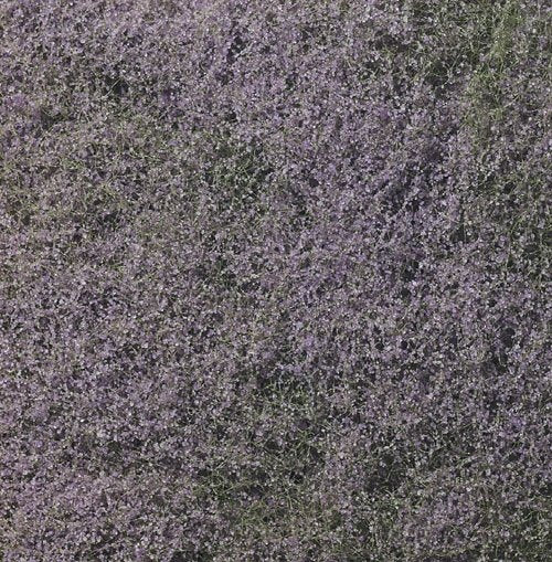 Feuillage fleuri violet Woodland WF177