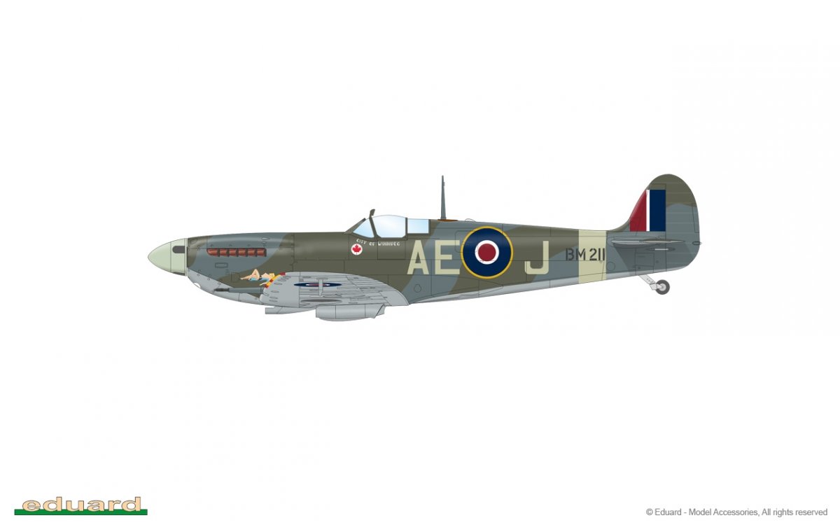 Eduard 84186 Spitfire Mk. Vb mi-1/48 – immagine 10