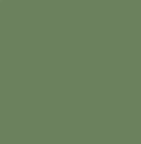 Gunze Sangyo C364 Mr Color Avion Gris Vert