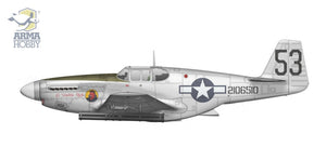 Arma Hobby 70075 P-51B Mustang Chine, Birmanie, Inde 1/72 – Bild 4