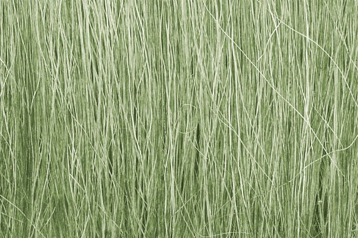 Herbe de champ vert clair Woodland Scenics WFG173 