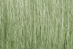 Herbe de champ vert clair Woodland Scenics WFG173