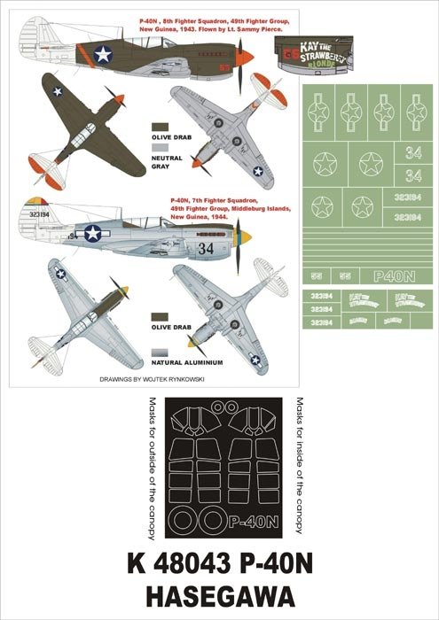 Montex K48043 P-40N 1/48 