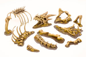 Paint Forge PFRB5001 Dragon Bones Big Set – zdjęcie 2