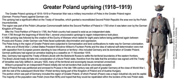ToRo Modèle 35F119 Insurrection de Grande-Pologne 1918 - Commandant de poste insurgé / Insurrection de Grande-Pologne 1918 Commandant de poste insurgé 1/35 – image 4
