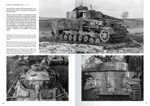 Abteilung 502 ABT760 CHARS DE LA WEHRMACHT WWII · CARLOS DE DIEGO VAQUERIZO – immagine 8