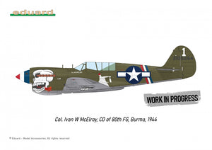 Eduard R0025 P-40N WARHAWK ROYAL CLASS DOUBLE COMBO 1/48 – Bild 3