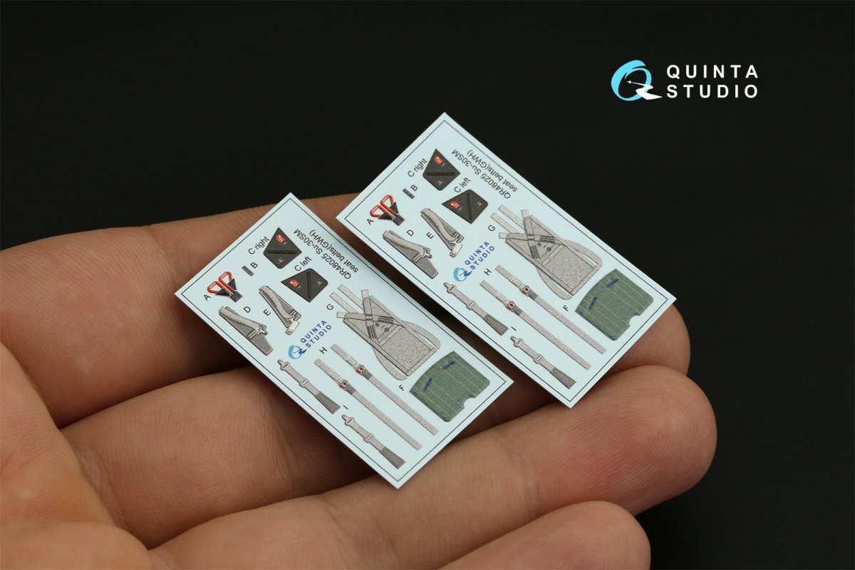 Intérieur imprimé en 3D et coloré sur papier décalcomanie Quinta Studio QD48320 Su-30SM (GWH) 1/48 – immagine 7