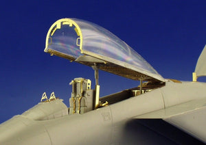 Eduard 49221 F-14D 1/48 Hasegawa  – immagine 6