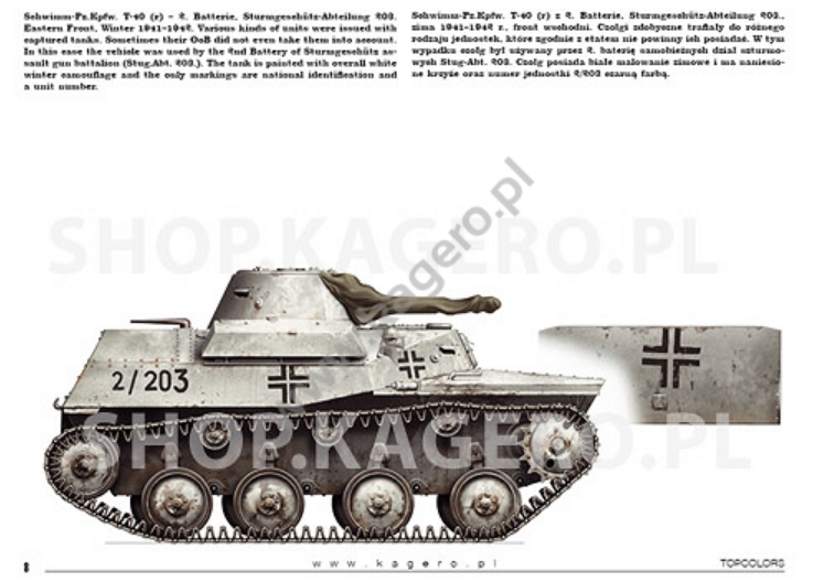 Kagero 15041 Beutepanzer (décalcomanies) PL/EN – imagen 3