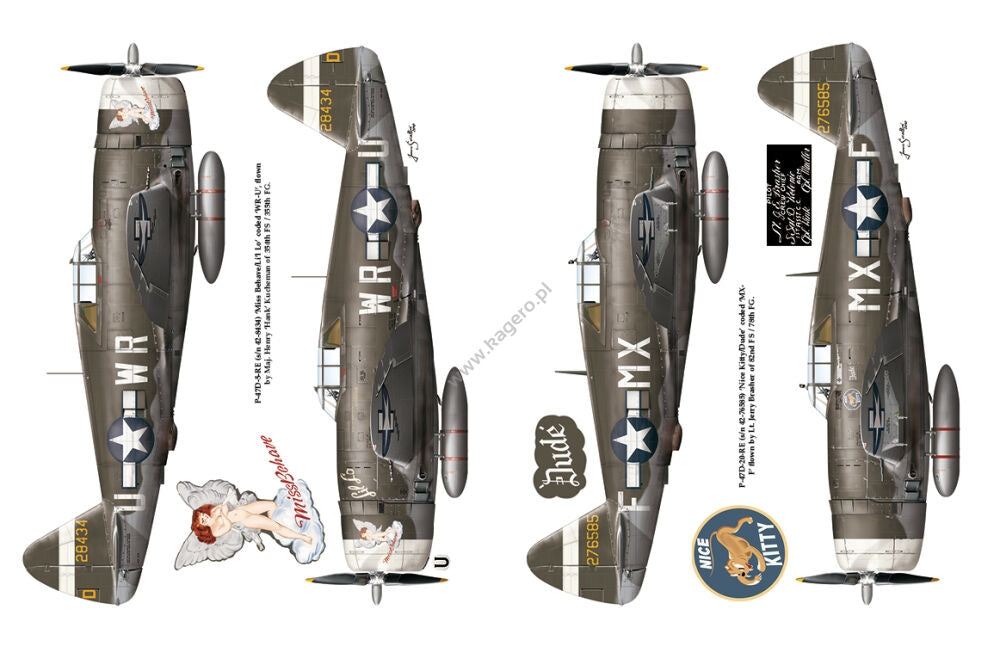 Kagero 12015 Thunderbolts of the US 8th Army Air Force March 1943 - February 1944 EN – image 4