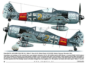 Kagero 15035 Fw 190s au-dessus de l&amp;#39;Europe, partie I (décalcomanies) EN/PL – Bild 3