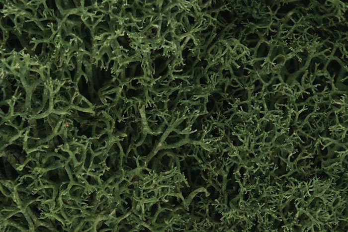 Lichen Woodland Scenics WL163 - Vert moyen 1,4 L