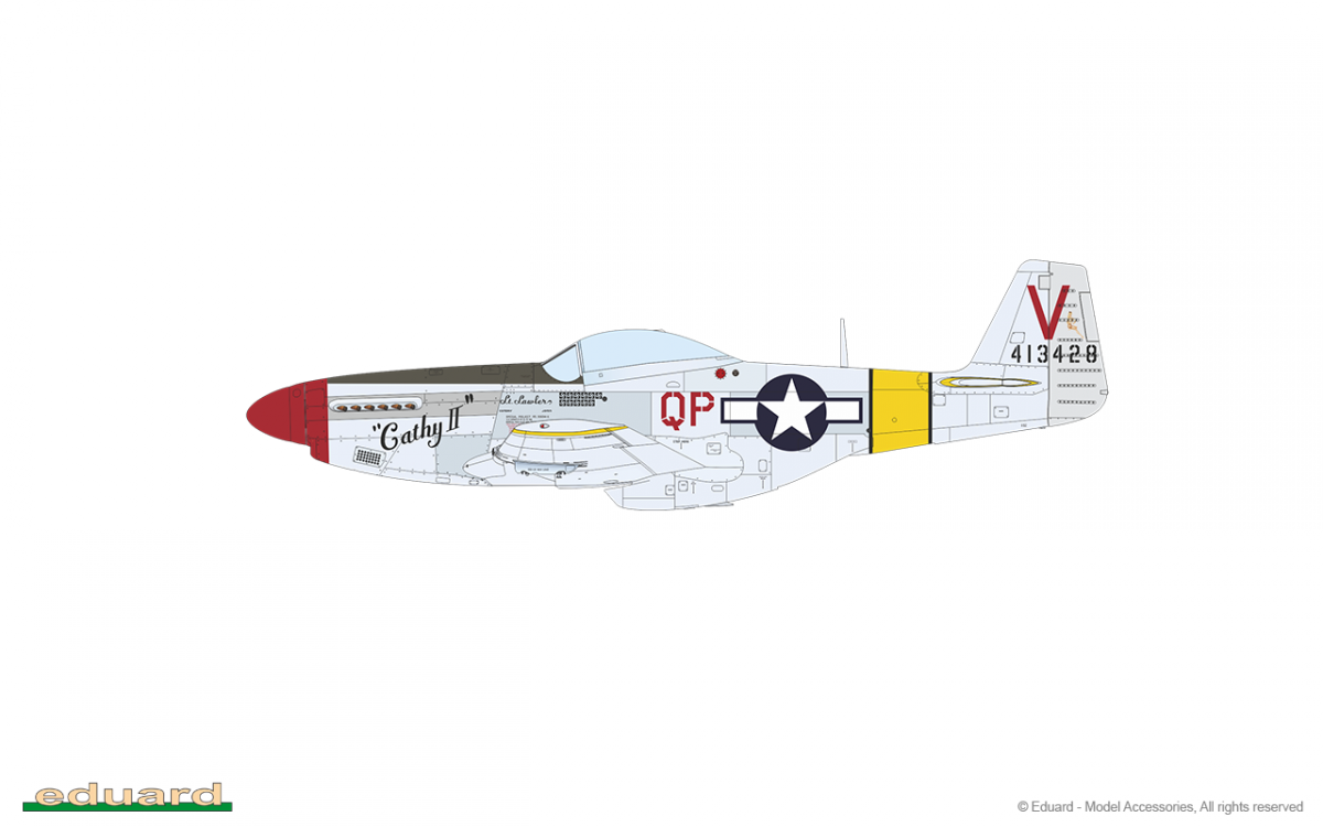 Eduard 11159 RED TAILS &amp;amp; Co. COMBO DOUBLE 1/48 – immagine 19