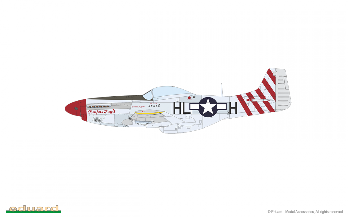 Eduard 11159 RED TAILS &amp;amp; Co. COMBO DOUBLE 1/48 – immagine 14