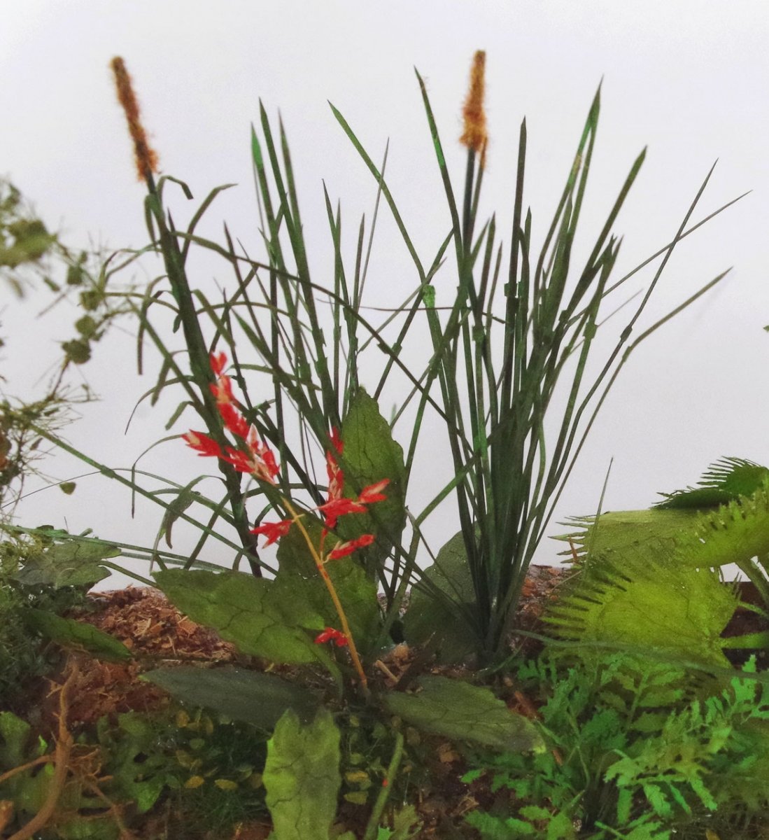 RT-Diorama 35620 Herbe de la jungle 1/35 – immagine 5