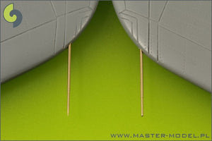 Maître AM-48-071 SAAB 29 Tunnan - Tubes de Pitot (1/48) – image 2