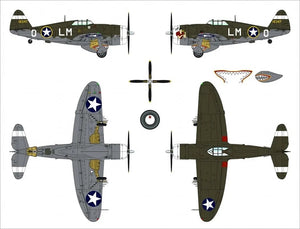 Dora Wings 48054 Republic P-47C Thunderbolt avec réservoir de convoyage 1/48 – image 9