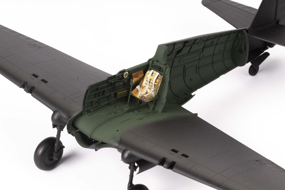 Eduard 32997 Hawk 81-A2 GWH 1/32 – immagine 4