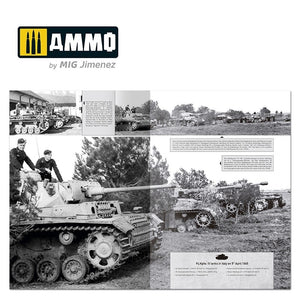 Munitions du Mig 6267 ITALIENFELDZUG – Chars et véhicules allemands 1943-1945 Vol. 4 – immagine 6