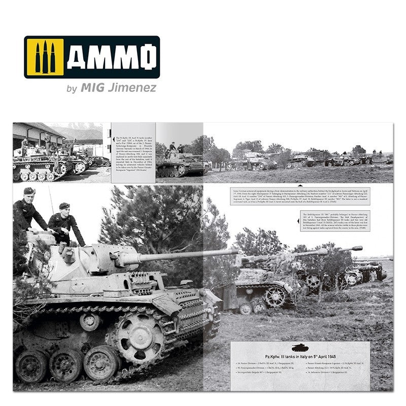 Munitions du Mig 6267 ITALIENFELDZUG – Chars et véhicules allemands 1943-1945 Vol. 4 – immagine 6