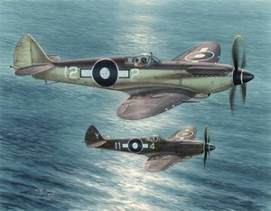 Special Hobby 48116 Seafire F Mk.XV Far East Service 1/48