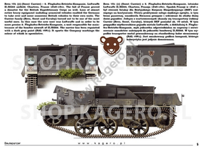 Kagero 15041 Beutepanzer (décalcomanies) PL/EN – imagen 4