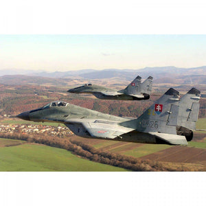 Peinture MR. Paint MRP-091 GRIS CLAIR Camouflage bicolore russe MIG-29 30 ml – image 4