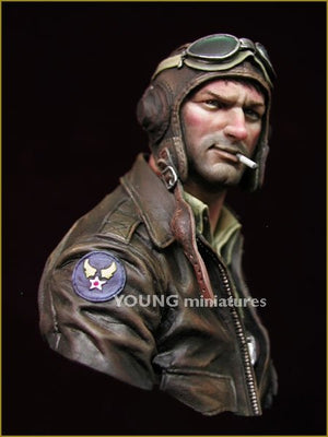 Young Miniatures YM1843 TIGRES VOLANTS 1942 1/10 – image 2