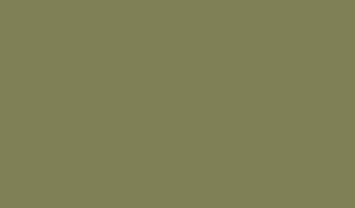 Lifecolor UA471 - Vert moyen 22 ml