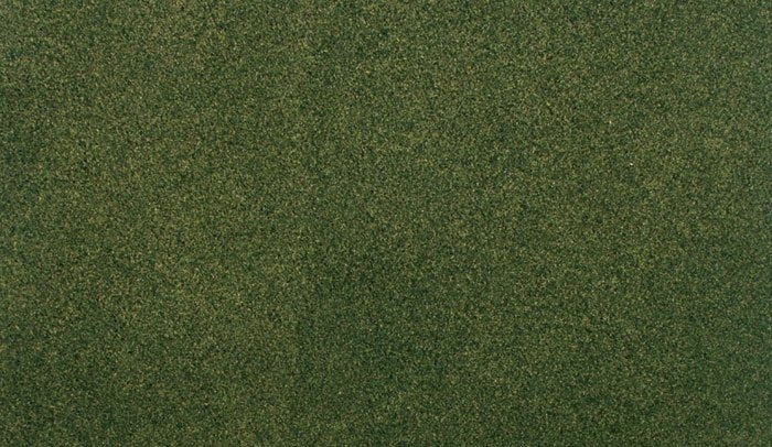 Woodland Scenic RG5143 Forest Grass Project (31,7 x 35,8 cm)