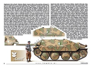 Kagero 15039 Panzers capturés, véhicules allemands au service des Alliés (décalcomanie) PL/EN – Bild 6