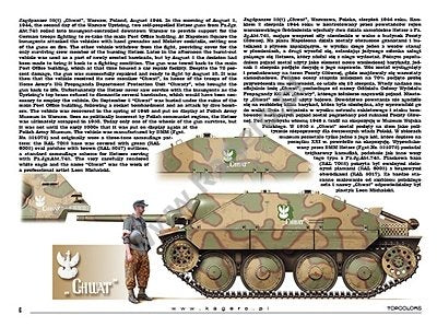Kagero 15039 Panzers capturés, véhicules allemands au service des Alliés (décalcomanie) PL/EN – Bild 6