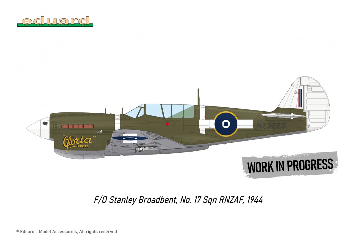 Eduard R0025 P-40N WARHAWK ROYAL CLASS DOUBLE COMBO 1/48 – Bild 5