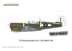 Eduard R0025 P-40N WARHAWK ROYAL CLASS DOUBLE COMBO 1/48 – Bild 5