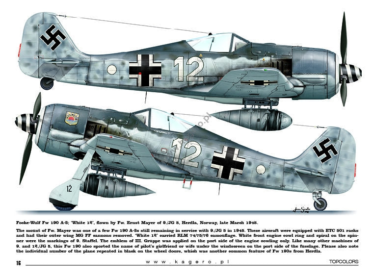 Kagero 15035 Fw 190s au-dessus de l&amp;#39;Europe, partie I (décalcomanies) EN/PL – Bild 2