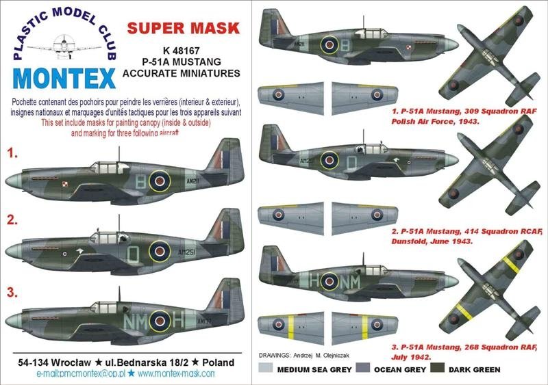 Montex K48167 P-51A Mustang 1/48 