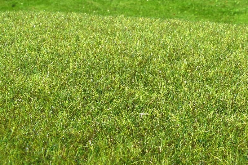 Scène modèle F011 Zone humide moyenne  – immagine 2