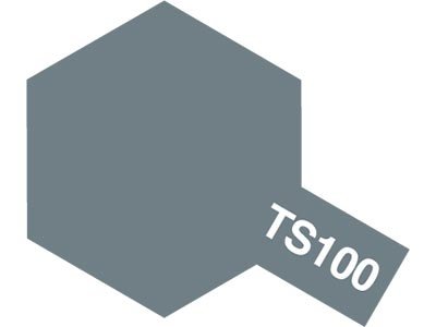 Tamiya 85100 TS-100 SG Peinture métal brillant en aérosol 